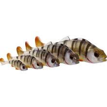Westin Perch Shadtail