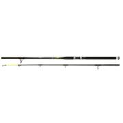 Zebco Cool X Boat  Wg 100-250g  2,40m