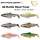 SG 4D Trout Rattle Shad