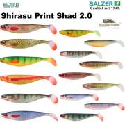 Balzer Shirasu Print Shad