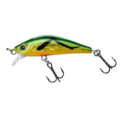 Gunki Gamera 39 F Jungle Criquet