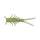 Lunker City HellGies 1,5"  Chartreuse Ice