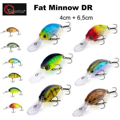 Quantum Fat Minnow DR
