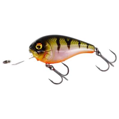 Westin MegaBite DR Crankbait 6cm / 7cm - tieflaufender Wobbler für Barsch und Zander