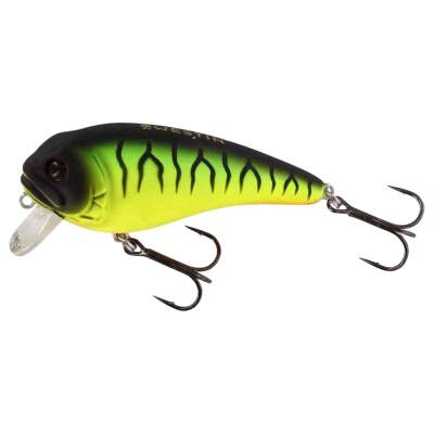 Westin FatBite Crankbait 5,5cm / 8cm - Wobbler mit Rasseln für Hecht und Barsch