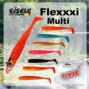 Dieter Eisele Flexxxi Multishad mit Flavour