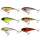 Westin RawBite Crankbait 7cm - Hechtköder - Wobbler Hecht