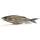 Nays TRN 130 | 190 Swimbait