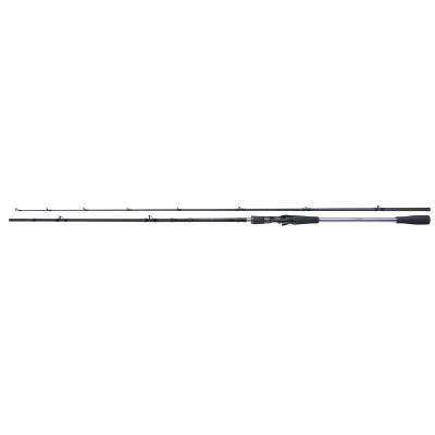 Shimano Yasei Pike XH Cast 2,5m, 40-120g