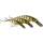 Westin Platypus Crankbait - Wobbler für Hecht