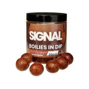 Starbaits PC Boilies In Dip Signal