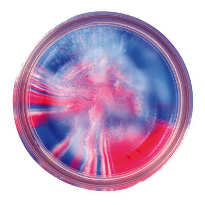Berkley Powerbait Extra Scent Glitter Captain America