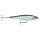 Rapala BX Minnow 10cm BBH Blue Back Firetiger