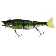 Illex Gantia 180 RT Biwako Bass