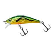 Gunki Gamera 39 F Jungle Criquet