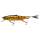 Illex Sleek Mikey 160 Aggressive Perch