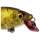 Westin BuzzBite SR Crankbait  5cm 574 Clear Brown Craw