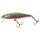 Illex Tiny Fry 50 SP Trout Nightmare