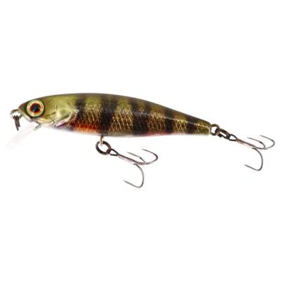 Illex Tiny Fry 50 SP RT Perch