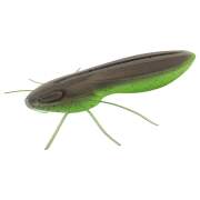 Nays BG Creature Bait - Finesse Gummiköder für...