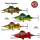 Blood Perch UV