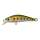 Spot Green Trout