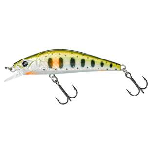 Spot Green Trout