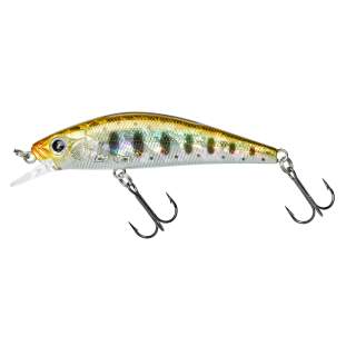 Impact Brown Trout
