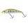 Impact Brown Trout