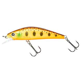 Gold Trout