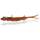 25cm / appleseed