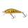 HL Brown Trout
