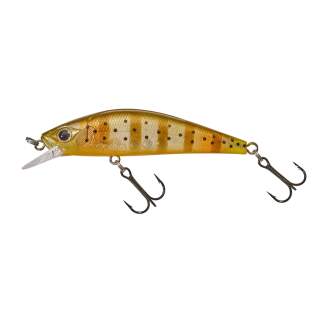 Stripped Trout