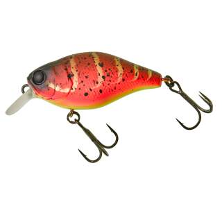 Spicy Louisy Craw