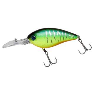 2+ / Blue Back Tiger