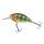 Perch