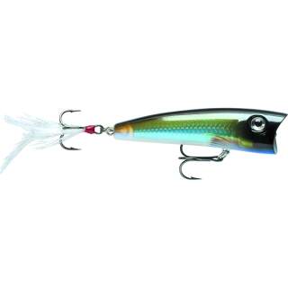 MBS,  Moss Back Shiner