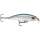 SD  Shad