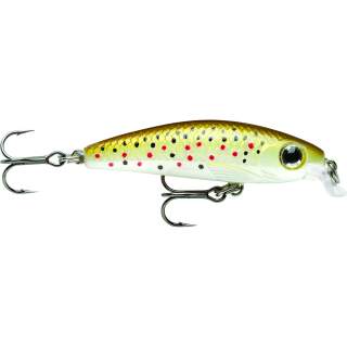 TR  Brown Trout