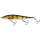 550 Real Perch