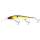 703 Hot Shad