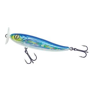 Minnow