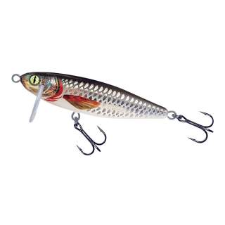 Roach