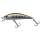 Sight Trout