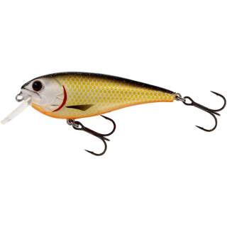 155 Official Roach