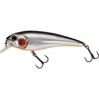 221 Steel Sardine
