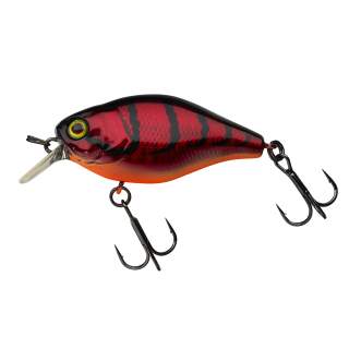 Aurora Red Craw