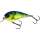 569 Chart. Blue Craw