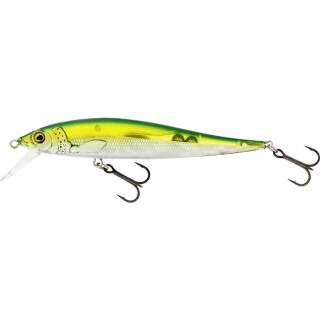 636 Olive Minnow