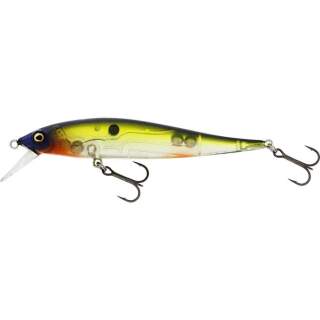 703 Hot Shad